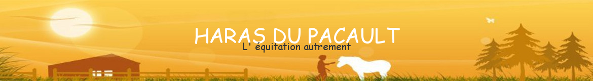 HARAS DU PACAULT